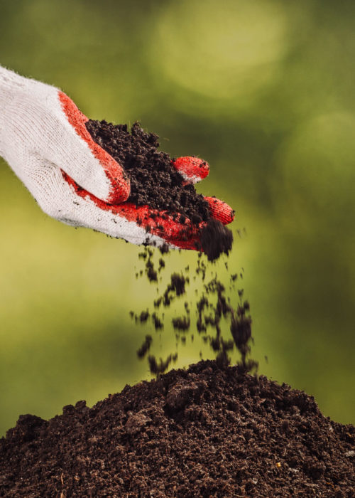 Agroindustrial Agroindustrial